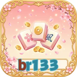 br133